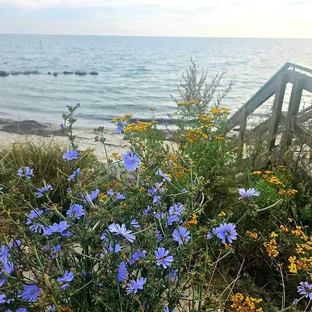 Cozy Retreat With Sauna - By Traum * Stege