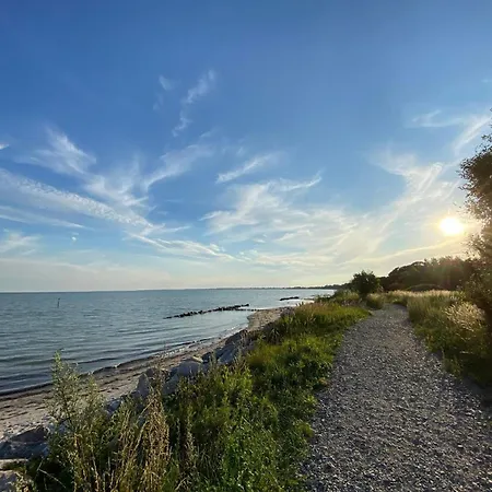 Cozy Retreat With Sauna - By Traum Casa de Férias